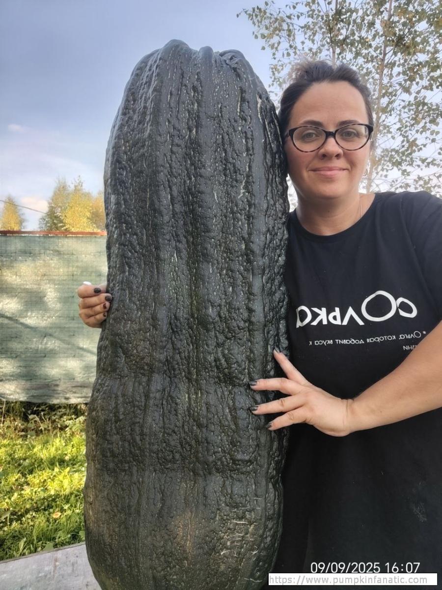 64.93 Dogadaeva 2025